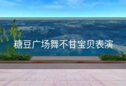糖豆广场舞不甘宝贝表演