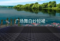 广场舞白纱短裙