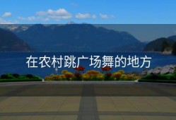 在农村跳广场舞的地方