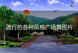 流行的各种风格广场舞图片