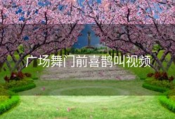 广场舞门前喜鹊叫视频