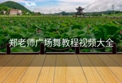 郑老师广场舞教程视频大全