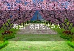 糖豆广场舞花楼双人