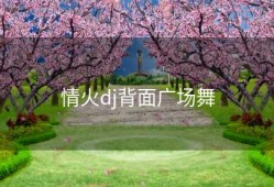 情火dj背面广场舞