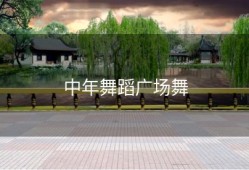 中年舞蹈广场舞