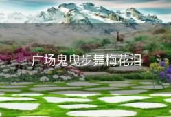 广场鬼曳步舞梅花泪