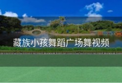 藏族小孩舞蹈广场舞视频