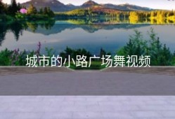 城市的小路广场舞视频