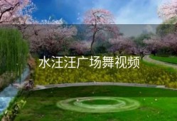 水汪汪广场舞视频