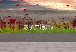 応子广场舞y
