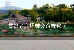 爱好者广场舞交谊舞教学