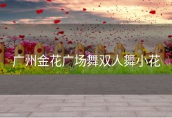 广州金花广场舞双人舞小花
