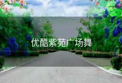 优酷紫苑广场舞