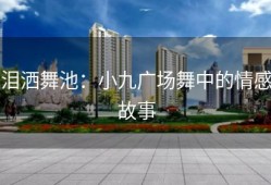 泪洒舞池：小九广场舞中的情感故事