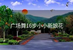 广场舞16步小小新娘花