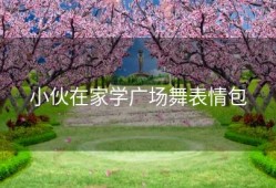 小伙在家学广场舞表情包