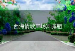 西海情歌广场舞减肥