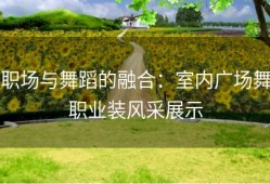 职场与舞蹈的融合：室内广场舞职业装风采展示