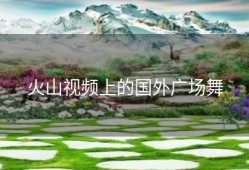 火山视频上的国外广场舞