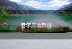 老年广场舞机