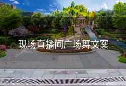 现场直播间广场舞文案