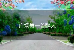 广场舞一首醉人