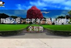舞动夕阳：中老年广场舞视频大全指南