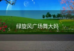 绿旋风广场舞大妈