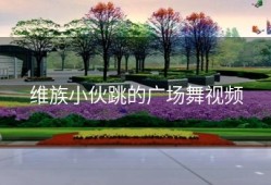 维族小伙跳的广场舞视频