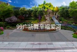 99广场舞辛福爱河