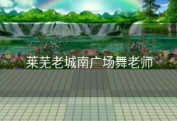 莱芜老城南广场舞老师