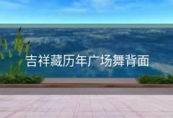 吉祥藏历年广场舞背面
