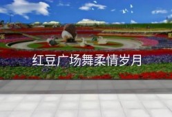 红豆广场舞柔情岁月