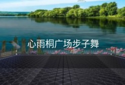 心雨桐广场步子舞