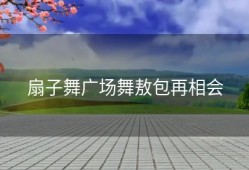 扇子舞广场舞敖包再相会