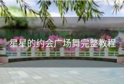 星星的约会广场舞完整教程