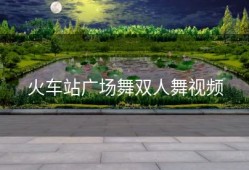 火车站广场舞双人舞视频