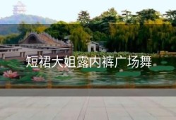 短裙大姐露内裤广场舞