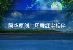 阿华原创广场舞红尘相伴