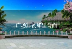 广场舞瓦加里背面