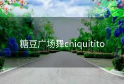 糖豆广场舞chiquitito