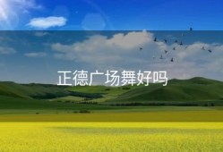 正德广场舞好吗