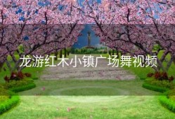 龙游红木小镇广场舞视频