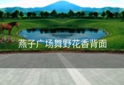 燕子广场舞野花香背面