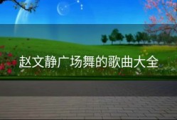 赵文静广场舞的歌曲大全