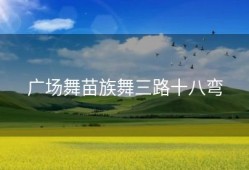 广场舞苗族舞三路十八弯