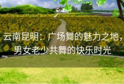 云南昆明：广场舞的魅力之地，男女老少共舞的快乐时光