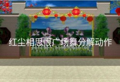 红尘相思恨广场舞分解动作