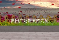 贵阳广场舞爱的力量