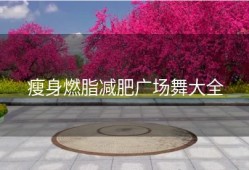 瘦身燃脂减肥广场舞大全